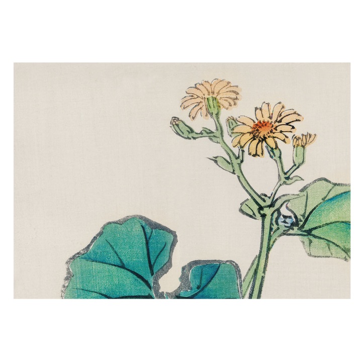 Tapet Vinilic Pentru Perete, Tulup, Flori si frunze, Alb, 312 x 219 cm, De Interior, Cu Model, 010100060080000017994