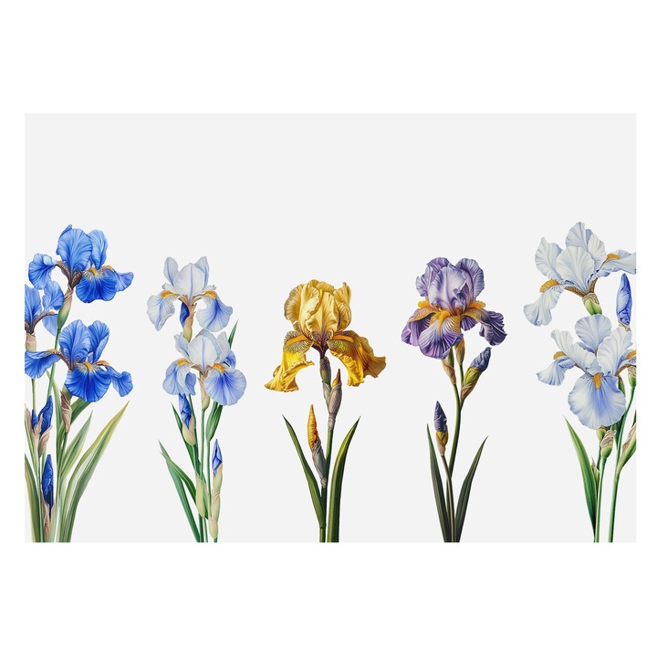 Fotótapéta Falra, Tulup, Írisz virágok, Kék, 208 x 146 cm, Vlies, Hálószobába, Konyhába, 010100060040000285205