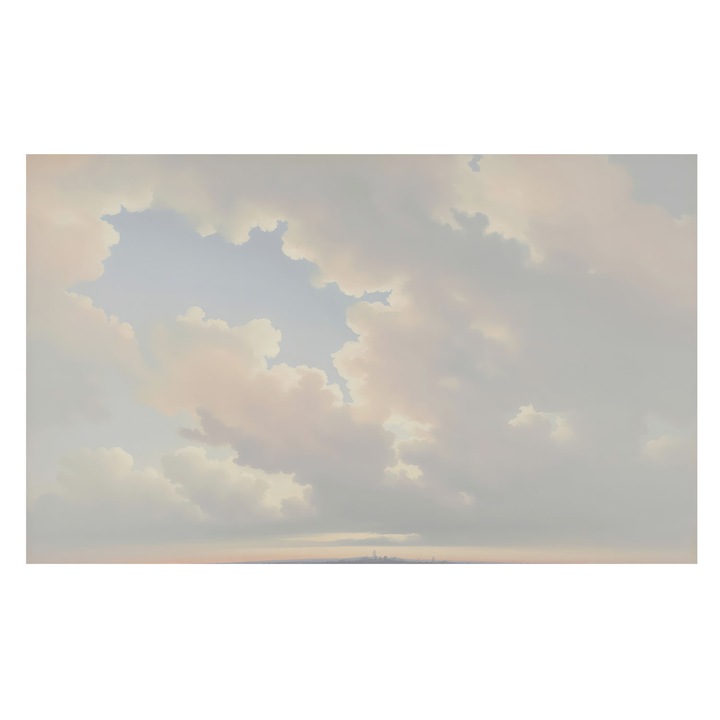 Tapet Vlies Tulup Cer Pastelat, Alb, 416x254cm, Vlies