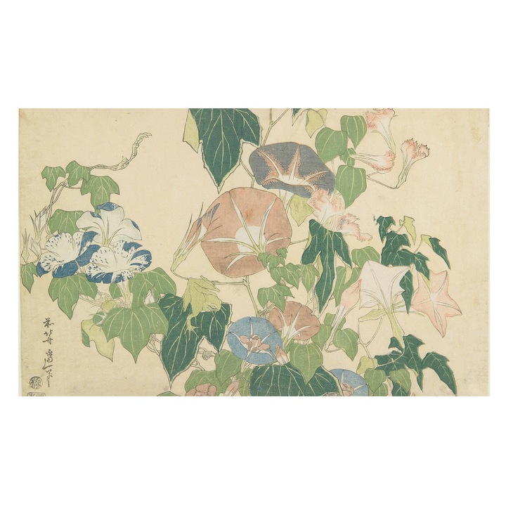 Флизелинов тапет, Tulup, Флорална елегантност, Зелено, 416 x 254 cm, За стена, За кухня, 010100060100000285409