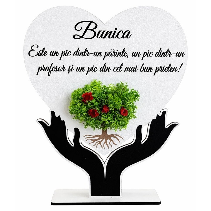 Tablou bunica cu licheni stabilizati, 15x18 cm