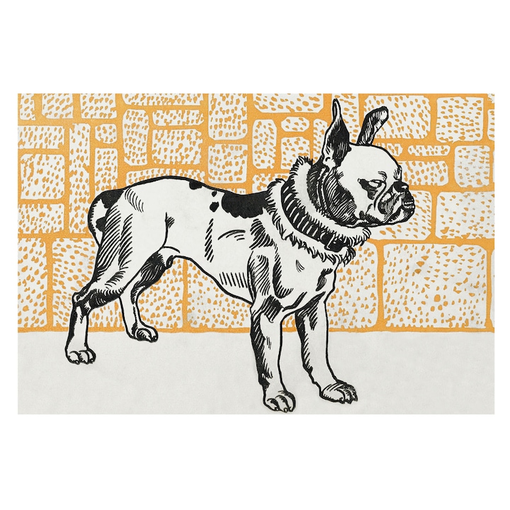 Rola Tapet Vlies De Perete, Tulup, Caine retro, Alb, 104 x 70 cm, Pentru Dormitor, Adeziv Puternic, 010100060020000031581