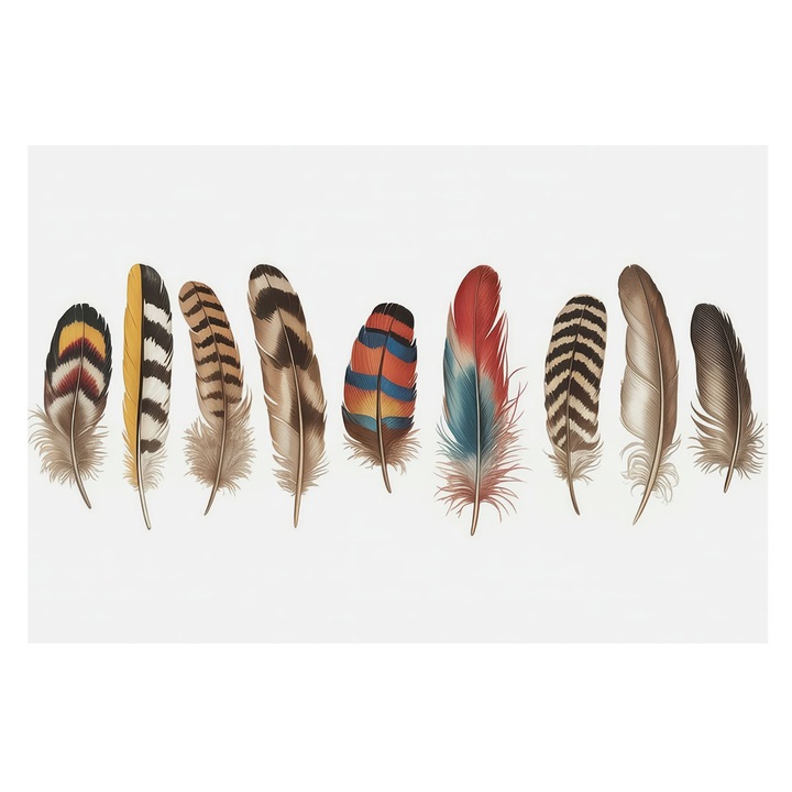 Fotótapéta Falra, Tulup, Színes tollak, Barna, 104 x 70 cm, Vlies, Öko, 010100060020000284936