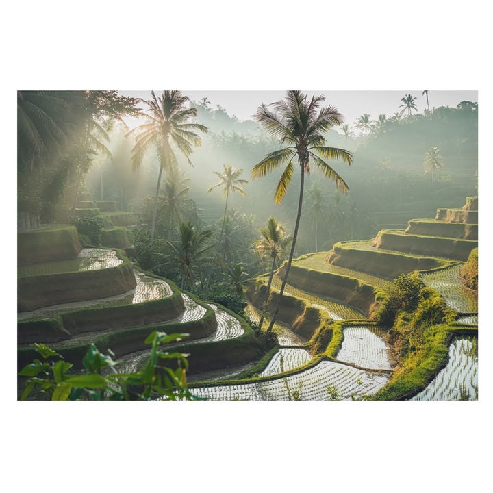 Dekor Tapéta, Tulup, Paradicsomi teraszok, Zöld, 104 x 70 cm, Nem Szőtt, Könnyen Felszerelhető, 010100060020000284915