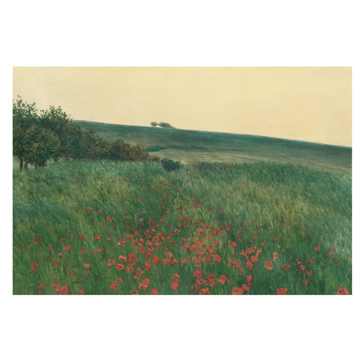 Tapéta Falra, Tulup, Pipacsföldek, Zöld, 104 x 70 cm, Vlies, Stílusos, 010100060020000285351