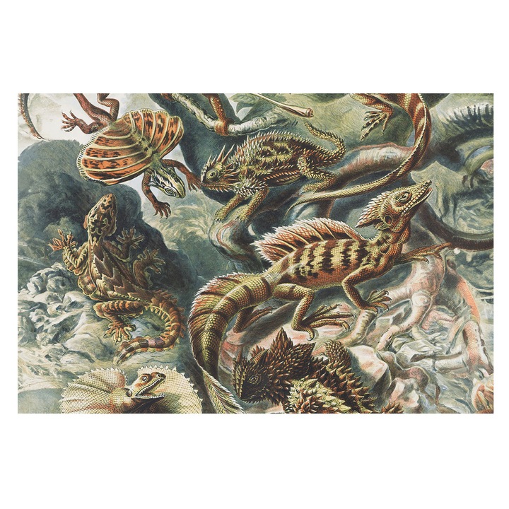 Rola Tapet Vinil De Perete, Tulup, Reptile exotice, Negru, 104 x 70 cm, Premium, Culoare Intensa, 010100060020000285495