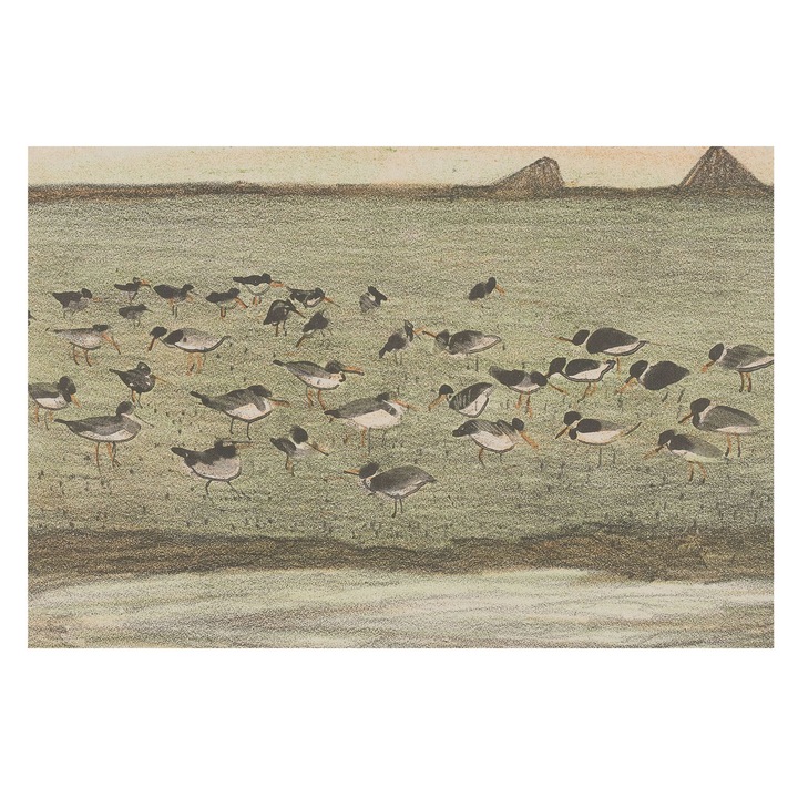 Tapéta Falra, Tulup, Madár békéje, Zöld, 104 x 70 cm, Vlies, Hálószobába, Konyhába, 010100060020000285615