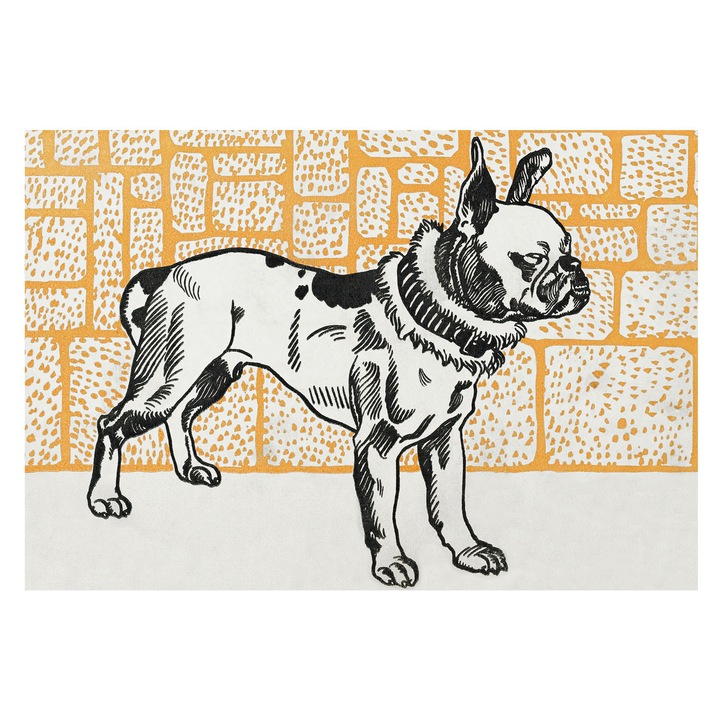 Fotótapéta Falra, Tulup, Retro kutya, Fehér, 152 x 104 cm, Vlies, Modern Tapétatekercs, 010100060030000031581