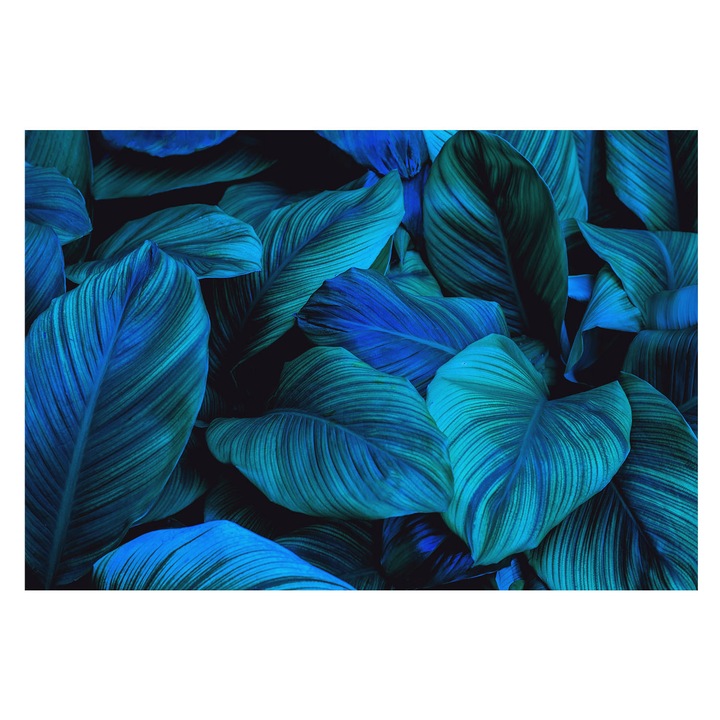 Dekor Tapéta, Tulup, Kék levelek, Kék, 152 x 104 cm, Vlies, Előszobába, Nappaliba, 010100060030000049174