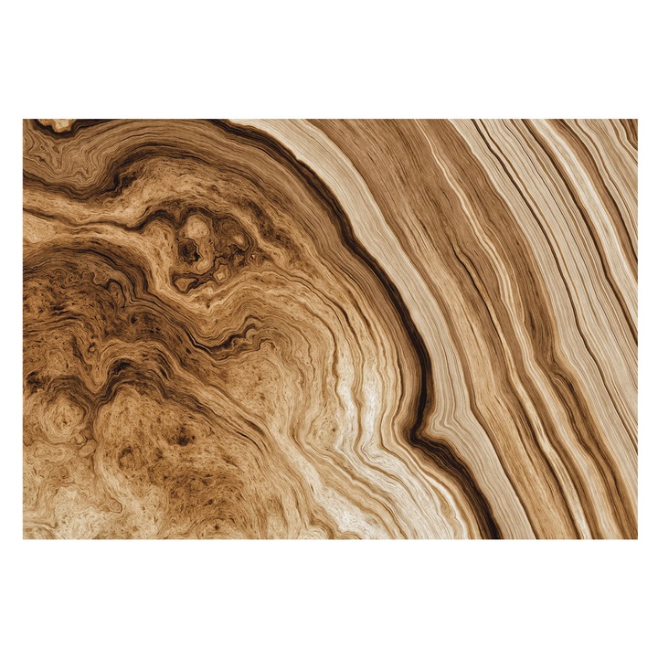 Tapéta Falra, Tulup, Faerezet, Barna, 152 x 104 cm, Nem Szőtt, Stílusos, 010100060030000057133