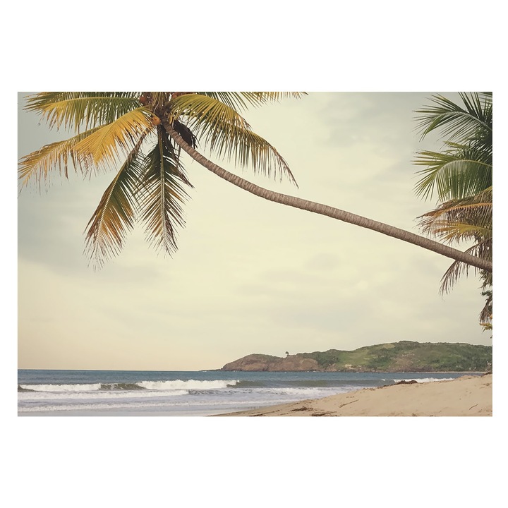 Fotótapéta Falra, Tulup, Trópusi táj, Fehér, 152 x 104 cm, Vlies, Előszobába, Nappaliba, 010100060030000285102