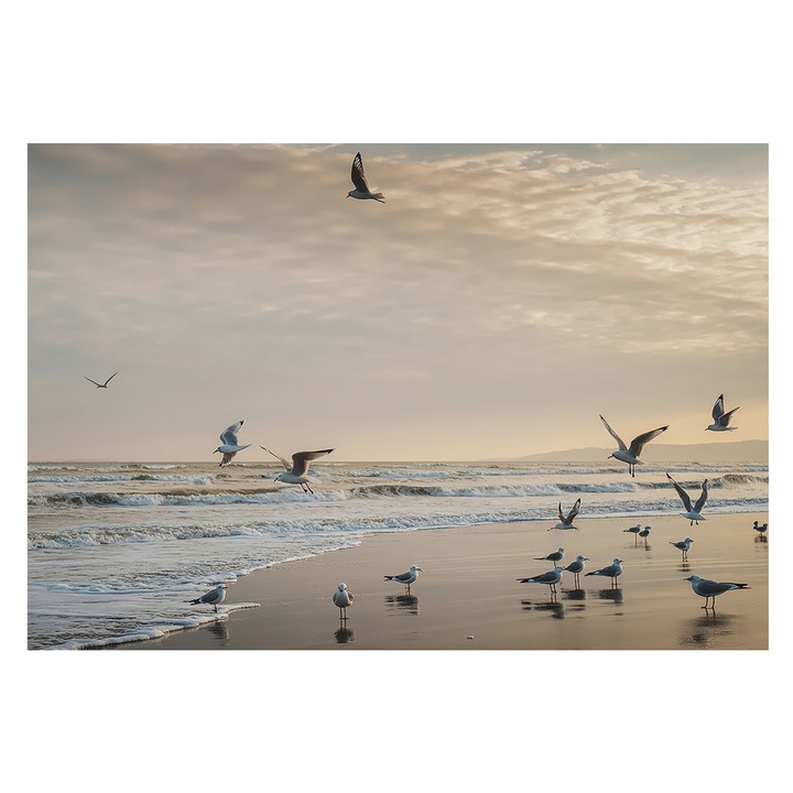 Dekor Tapéta, Tulup, Tengerparti nyugalom, Fekete, 152 x 104 cm, Vlies, Modern Dizájn, 010100060030000285155