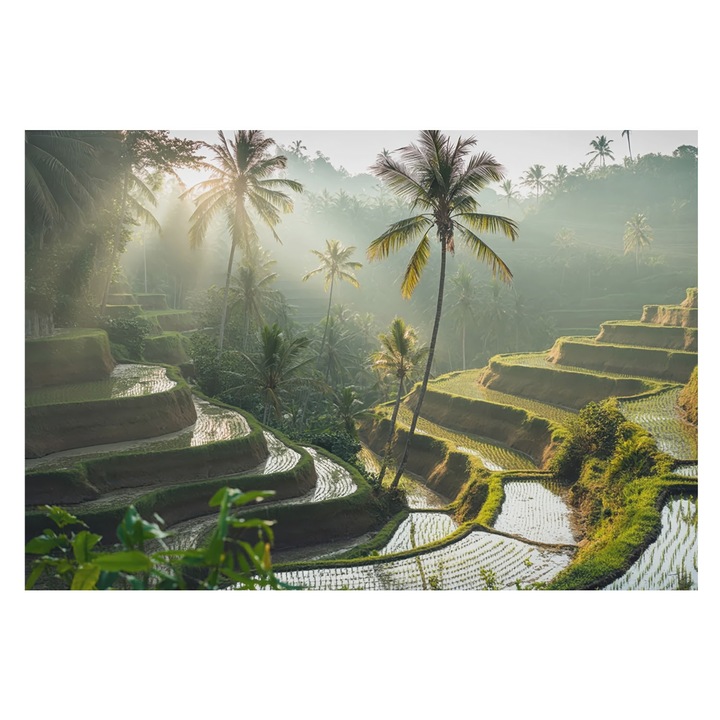 Dekor Tapéta, Tulup, Paradicsomi teraszok, Zöld, 152 x 104 cm, Nem Szőtt, Könnyen Felszerelhető, 010100060030000284915