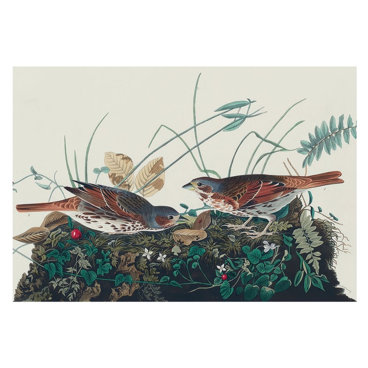 Tapet Vinilic Pentru Perete, Tulup, Farmecul naturii, Gri, 152 x 104 cm, Pentru Bucatarie, Cu Model, 010100060030000285297