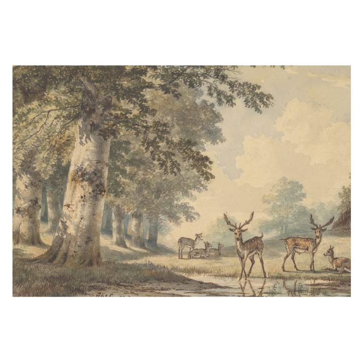 Tapéta Falra, Tulup, Erdő békéje, Bézs, 152 x 104 cm, Nem Szőtt, Stílusos, 010100060030000285624