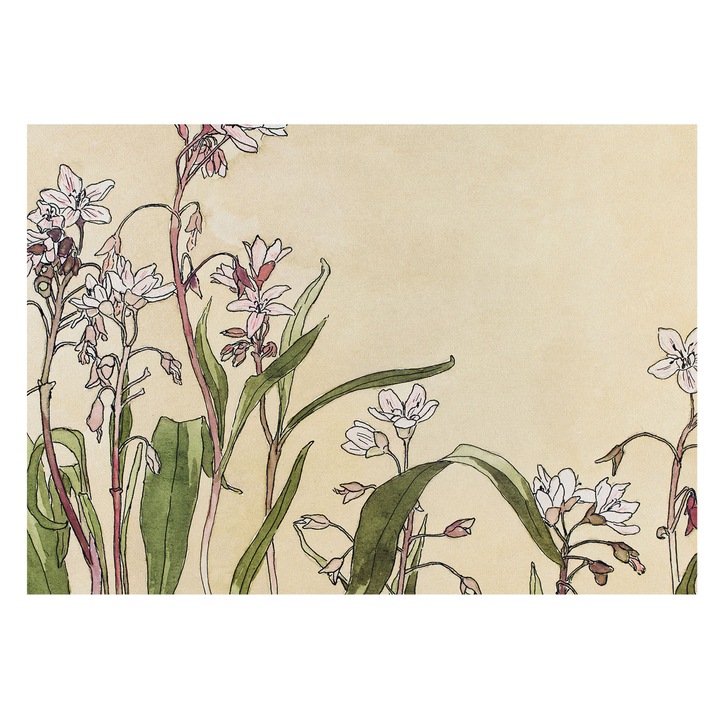 Tapéta Falra, Tulup, Virágos elegancia, Fehér, 208 x 146 cm, Nem Szőtt, Modern Tapétatekercs, 010100060040000031707