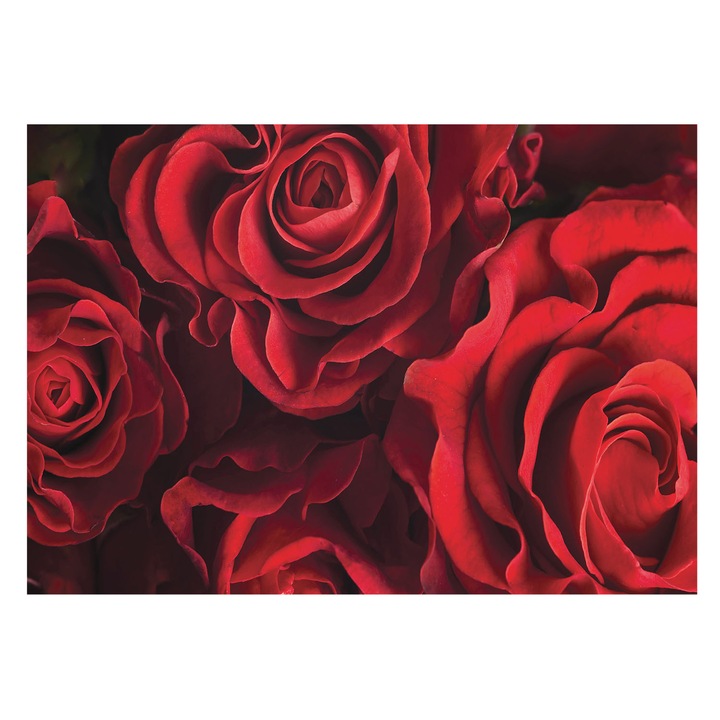 Rola Tapet Vinil De Perete, Tulup, Trandafiri rosii, Rosu, 312 x 219 cm, Art Deco, Culoare Intensa, 010100060080000034417
