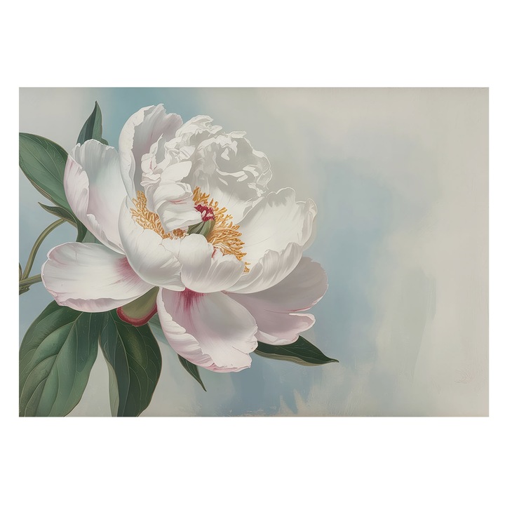 Fotótapéta Falra, Tulup, Gyönyörű bazsarózsa, Fehér, 208 x 146 cm, Vlies, Élénk Színek, 010100060040000284950