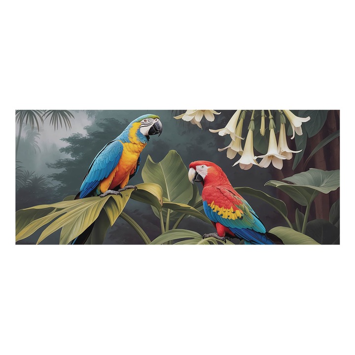 Fotótapéta Falra, Tulup, Színes papagájok, Fekete, 250 x 104 cm, Vlies, Klasszikus, 010100060050000284907