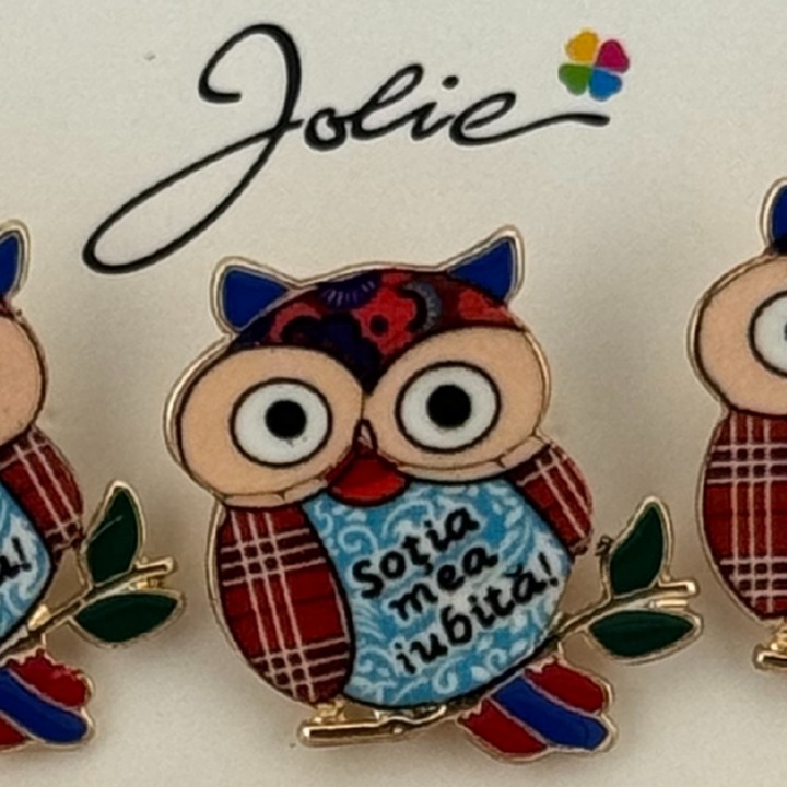 Set 12 Brose Martisor Primavara, Jolie, Model Bufnita, cu Mesaj Sotia Mea Iubita, Multicolor