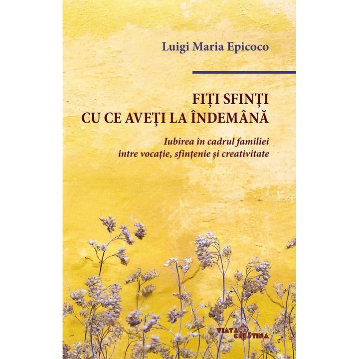 Fiti Sfinti Cu Ce Aveti La Indemana - Luigi Maria Epicoco