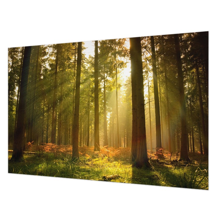 Dekor Tapéta, Wallfluent, Erdei reggel, Zöld, 104 x 70 cm, Vlies, Élénk Színek, 010100060020000000581