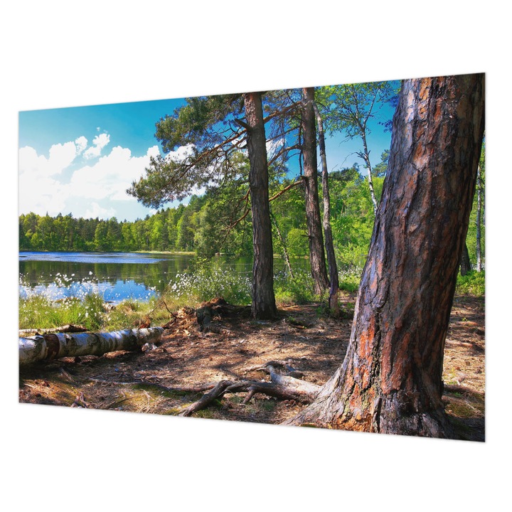 Tapéta Falra, Wallfluent, Erdő táj, Zöld, 104 x 70 cm, Vlies, Modern Belsőépítészeti Dekoráció, 010100060020000001736