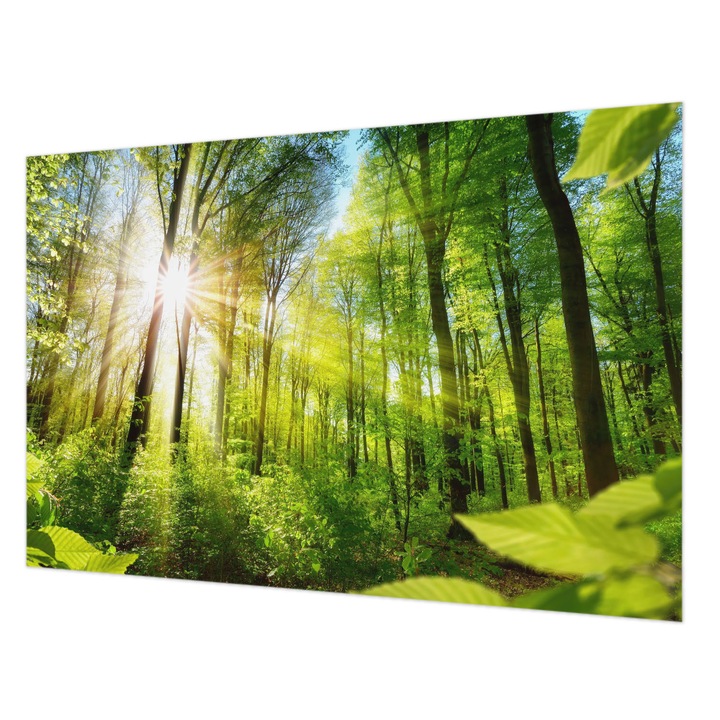 Fotótapéta Falra, Wallfluent, Erdei fény, Zöld, 104 x 70 cm, Nem Szőtt, Könnyen Felszerelhető, 010100060020000007224