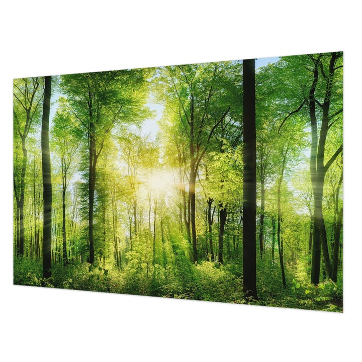 Fotótapéta Falra, Wallfluent, Erdő harmóniája, Zöld, 104 x 70 cm, Vlies, Előszobába, Hálószobába, 010100060020000007593