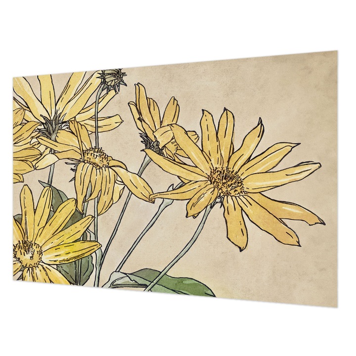 Dekor Tapéta, Wallfluent, Akvarell virágok, Fehér, 104 x 70 cm, Nem Szőtt, Modern Tapétatekercs, 010100060020000031710