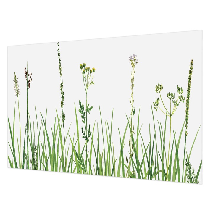 Tapéta Falra, Wallfluent, Finom növényvilág, Zöld, 104 x 70 cm, Vlies, Modern Belsőépítészeti Dekoráció, 010100060020000034953