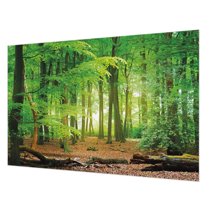 Tapéta Falra, Wallfluent, Zöld erdő, Zöld, 104 x 70 cm, Vlies, Élénk Színek, 010100060020000034572