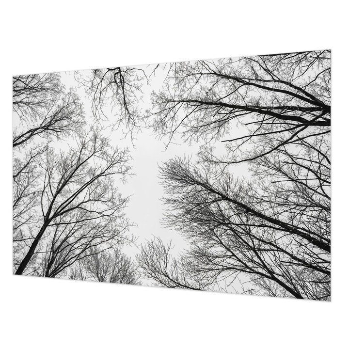 Tapéta Falra, Wallfluent, Csupasz ágak, Fekete és fehér, 104 x 70 cm, Nem Szőtt, Fali Dekoráció, 010100060020000282714