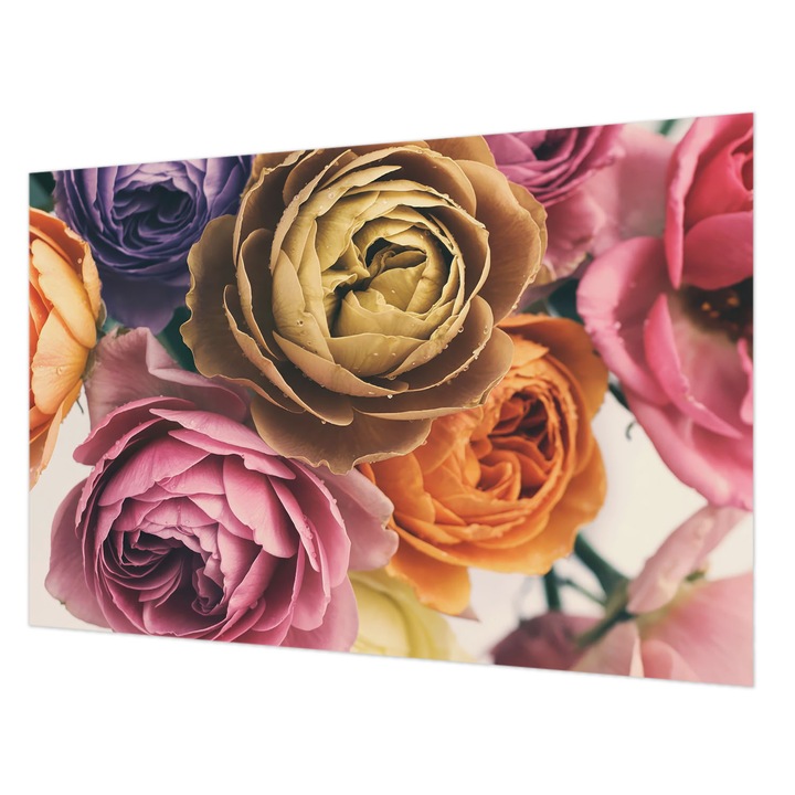 Fotótapéta Falra, Wallfluent, Színes rózsák, Rózsaszín, 104 x 70 cm, Nem Szőtt, Fali Dekoráció, 010100060020000284878