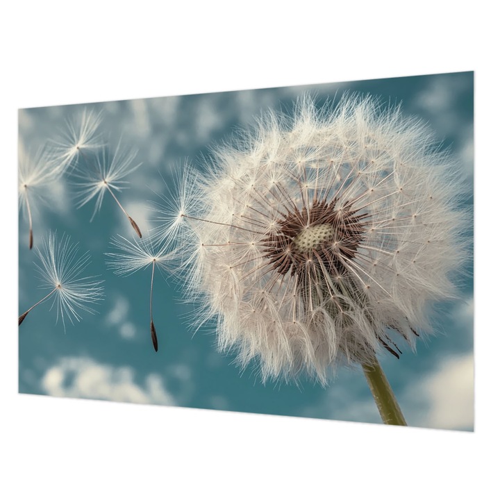 Tapéta Vlies Fali Dekoráció, Wallfluent, Enyhe éteriség, Fehér, 104 x 70 cm, Nem Szőtt, Modern Tapétatekercs, 010100060020000284940