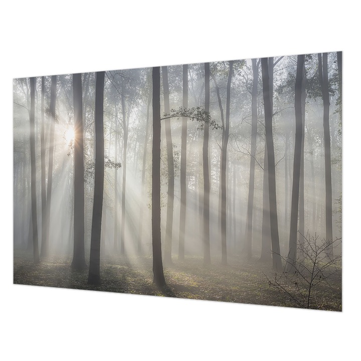 Dekor Tapéta, Wallfluent, Éteri Erdő, Szürke, 104 x 70 cm, Vlies, Modern Belsőépítészeti Dekoráció, 010100060020000285070