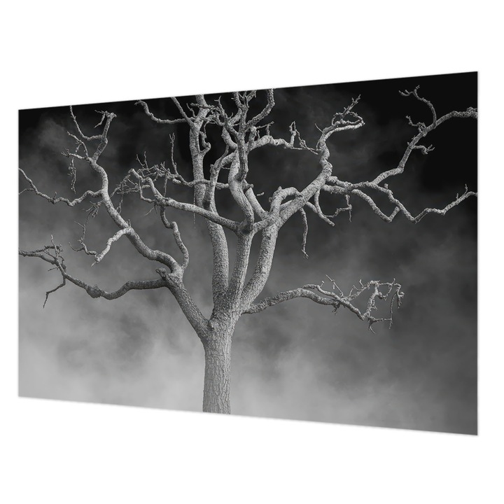 Dekor Tapéta, Wallfluent, Ködös fa, Fekete és fehér, 104 x 70 cm, Vlies, Dekoráció, 010100060020000285088