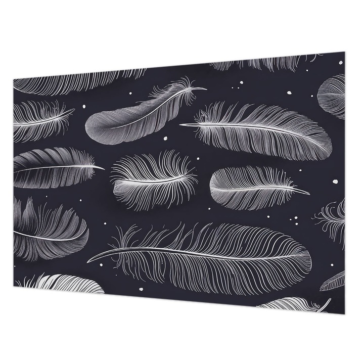 Tapéta Falra, Wallfluent, Finom tollak, Fekete és fehér, 104 x 70 cm, Nem Szőtt, Előszobába, Hálószobába, 010100060020000285126