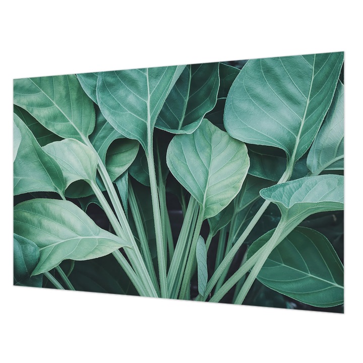 Fotótapéta Falra, Wallfluent, Zöld természet, Zöld, 104 x 70 cm, Vlies, Élénk Színek, 010100060020000285131