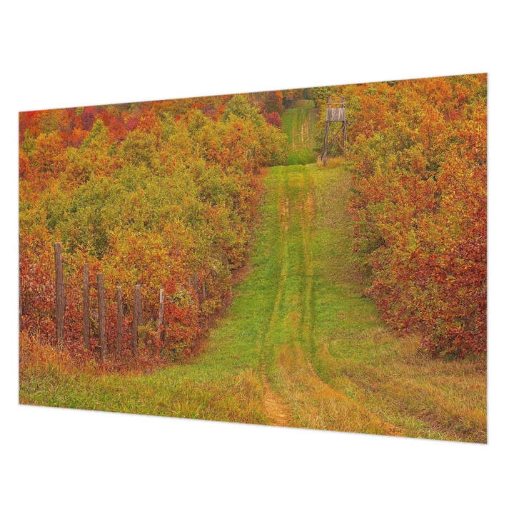 Fotótapéta Falra, Wallfluent, Őszi színek, Zöld, 104 x 70 cm, Vlies, Fali Dekoráció, 010100060020000000374