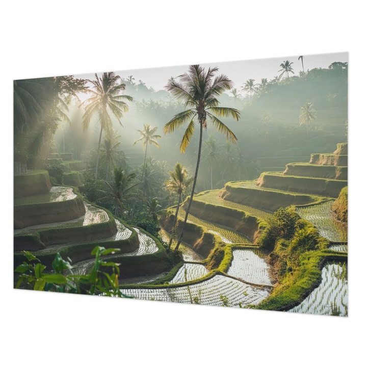 Tapéta Vlies Fali Dekoráció, Wallfluent, Paradicsomi teraszok, Zöld, 104 x 70 cm, Nem Szőtt, Modern Dizájn, 010100060020000284915