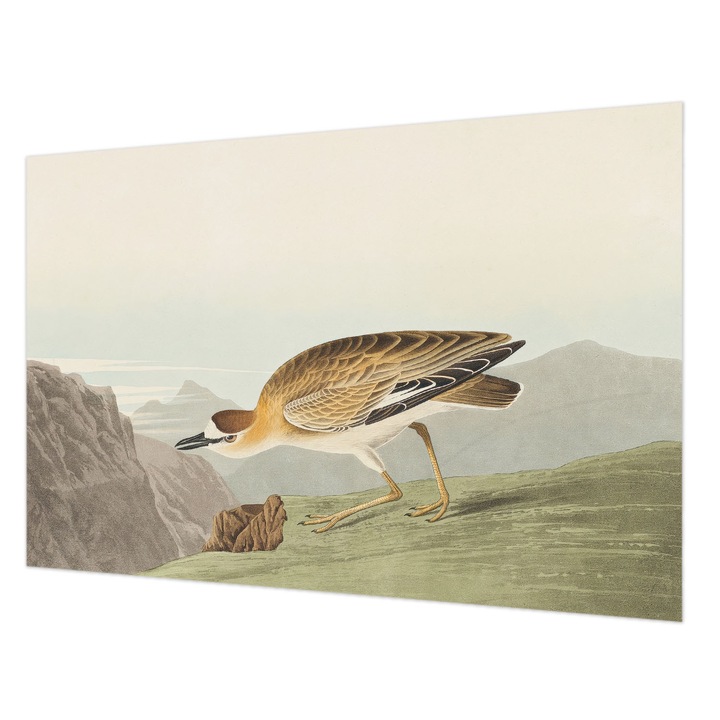 Tapéta Falra, Wallfluent, Hegyi madár, Barna, 104 x 70 cm, Vlies, Dekoráció, 010100060020000285298