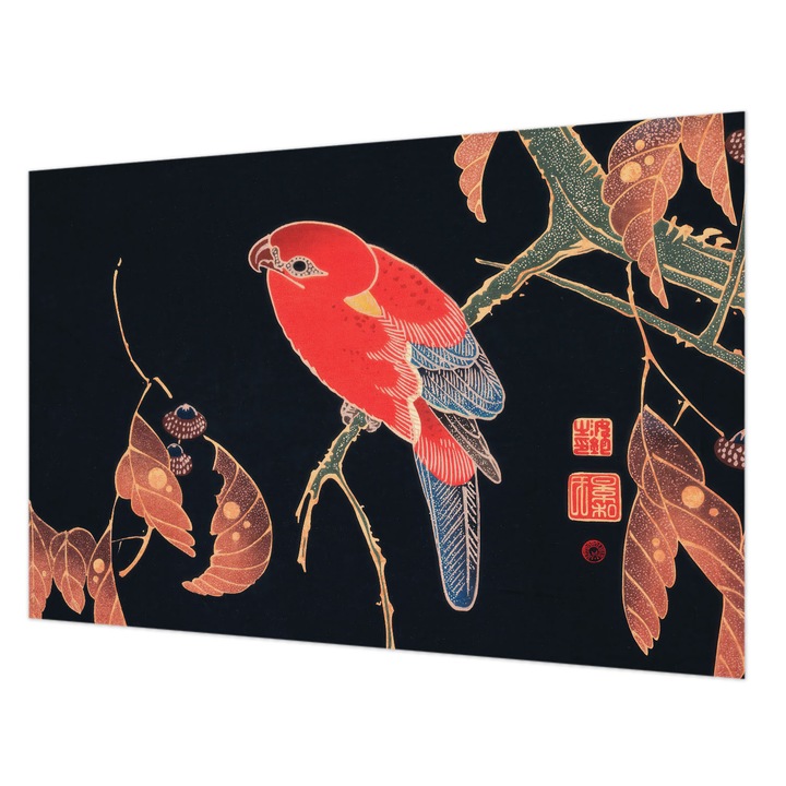 Fotótapéta Falra, Wallfluent, Egzotikus madár, Fekete, 104 x 70 cm, Nem Szőtt, Modern Belsőépítészeti Dekoráció, 010100060020000285416