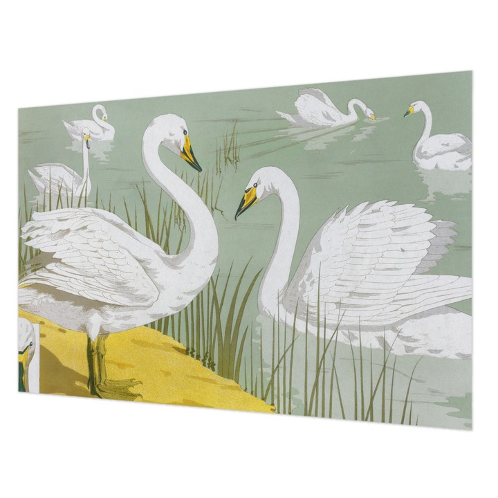 Tapéta Falra, Wallfluent, Hattyúk tava, Fehér, 104 x 70 cm, Nem Szőtt, Modern Belsőépítészeti Dekoráció, 010100060020000285500