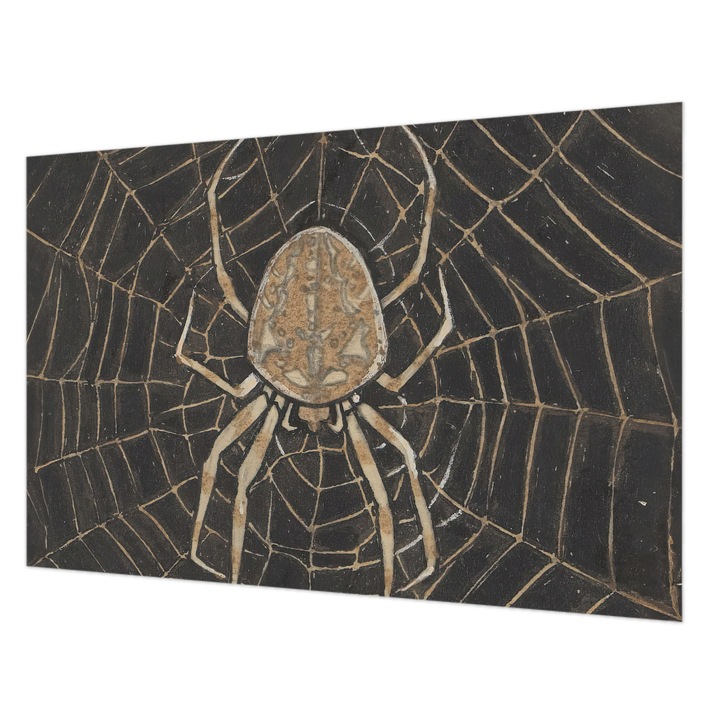 Tapéta Falra, Wallfluent, Pókháló, Fekete, 104 x 70 cm, Vlies, Klasszikus, 010100060020000285509