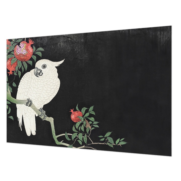 Vlies Fotótapéta De Perete, Wallfluent, Papagal de rodie, Negru, 104 x 70 cm, Art Deco, De Interior, 010100060020000285519