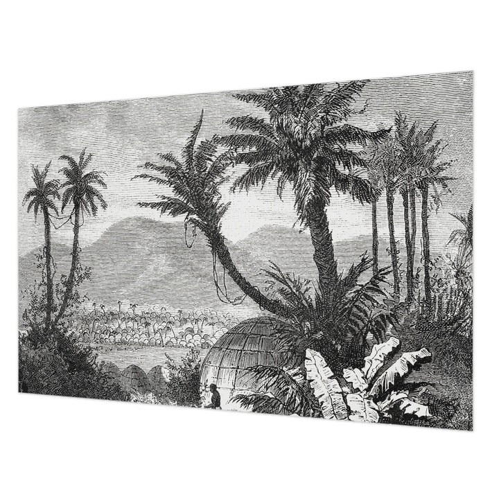 Tapéta Vlies Fali Dekoráció, Wallfluent, Trópusi oázis, Fekete és fehér, 104 x 70 cm, Nem Szőtt, Modern Tapétatekercs, 010100060020000285561