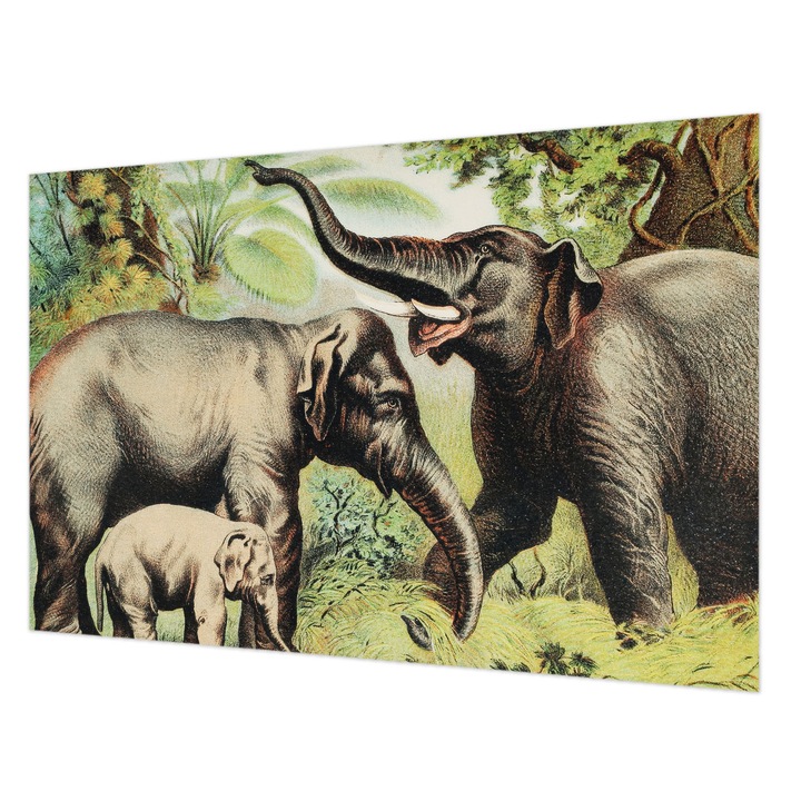 Fotótapéta Modern De Perete, Wallfluent, Elefanti de familie, Verde, 104 x 70 cm, Art Deco, Pentru Dormitor, Bucatarie, 010100060020000285579