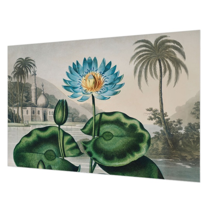 Tapet Vlies Pentru Perete, Wallfluent, Peisaj exotic, Verde, 104 x 70 cm, Elegant, Pentru Birou, 010100060020000285619