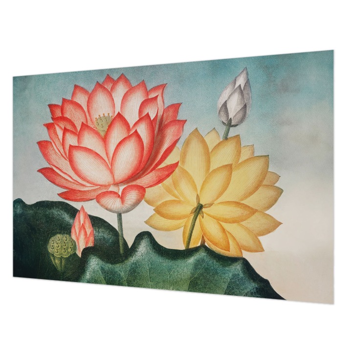 Tapéta Falra, Wallfluent, Lótuszvirágok, Piros, 104 x 70 cm, Nem Szőtt, Erős Ragasztó, 010100060020000285620